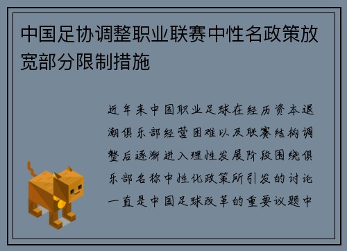 中国足协调整职业联赛中性名政策放宽部分限制措施